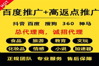 SEM服务公司助力电商增长案例